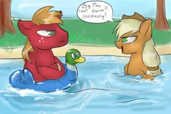 Size: 3000x2000 | Tagged: safe, artist:katemaximova, derpibooru import, applejack, big macintosh, earth pony, pony, applejack's hat, applejerk, cowboy hat, duo, duo male and female, female, freckles, hat, image, inflatable, jpeg, looking at each other, looking at someone, male, mare, open mouth, open smile, smiling, speech bubble, stallion, water