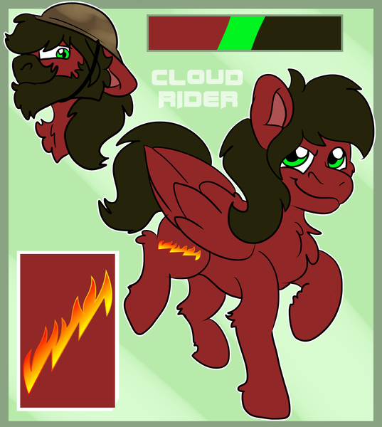 Size: 1701x1900 | Tagged: safe, artist:euspuche, derpibooru import, oc, oc:cloud rider, unofficial characters only, pegasus, image, looking at you, male, png, reference sheet, smiling