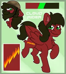 Size: 1701x1900 | Tagged: safe, artist:euspuche, derpibooru import, oc, oc:cloud rider, unofficial characters only, pegasus, image, looking at you, male, png, reference sheet, smiling