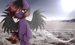 Size: 1700x1018 | Tagged: safe, artist:zeffdakilla, derpibooru import, oc, oc:frankie fang, unofficial characters only, pegasus, 2000s, bipedal, desert, emo, image, lyrics, nostalgia, png, red eyes, seether, solo, standing, text