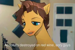 Size: 2048x1366 | Tagged: safe, artist:draw3, derpibooru import, caramel, ponified, earth pony, pony, alcohol, dialogue, drunk, image, jerma, jpeg, male, meme, microphone, microphone stand, ponified meme, real life background, solo, stallion, text, wine, youtuber