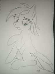 Size: 1200x1600 | Tagged: safe, artist:m37, derpibooru import, oc, earth pony, pony, female, image, pencil drawing, photo, png, solo, solo female, traditional art