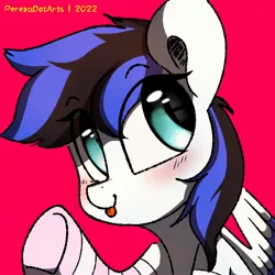Size: 2000x2000 | Tagged: safe, artist:perezadotarts, derpibooru import, oc, oc:black ice, unofficial characters only, pegasus, pony, :p, blushing, clothes, colored, cute, digital art, drawing, image, jpeg, looking at you, meta, red background, simple background, socks, solo, text, tongue out, twitter