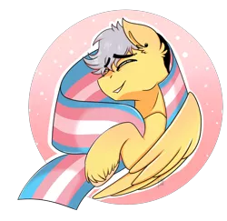 Size: 2312x2244 | Tagged: safe, artist:shamy-crist, derpibooru import, oc, oc:gala, pegasus, pony, image, png, pride flag, solo