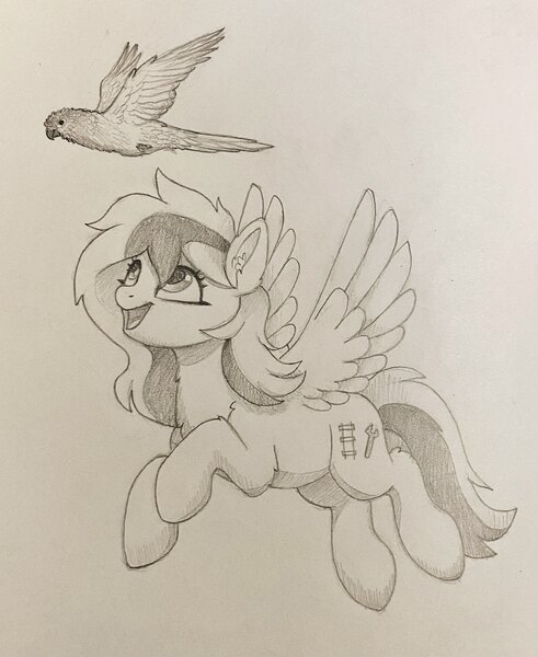 Size: 2619x3199 | Tagged: safe, artist:luminousdazzle, derpibooru import, oc, oc:kezzie, unofficial characters only, bird, parakeet, parrot, pegasus, pony, duo, female, flying, image, jpeg, looking up, mare, pegasus oc, pet, smiling, traditional art, wings