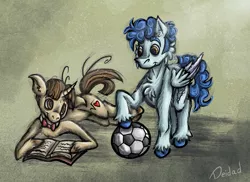 Size: 1487x1080 | Tagged: safe, artist:deidad_dissitum, derpibooru import, curly winds, some blue guy, wiz kid, pegasus, pony, unicorn, book, bow, couple, duo, duo male, football, image, looking at each other, looking at someone, love, male, png, sports