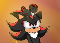 Size: 2436x1740 | Tagged: safe, artist:supershadow_th, derpibooru import, oc, oc:supershadowth, unicorn, image, png, shadow the hedgehog, sonic the hedgehog (series)