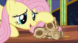 Size: 400x224 | Tagged: safe, derpibooru import, screencap, fluttershy, chipmunk, pegasus, pony, every little thing she does, season 6, ^^, animated, cute, daaaaaaaaaaaw, discovery family, discovery family logo, eyes closed, female, gif, head rub, hnnng, image, logo, mare, shyabetes, talking, twilight's castle, weapons-grade cute