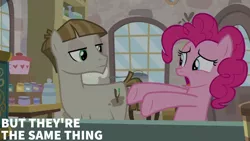 Size: 1280x720 | Tagged: safe, derpibooru import, edit, edited screencap, editor:quoterific, screencap, mudbriar, pinkie pie, earth pony, pony, season 8, the maud couple, spoiler:s08, duo, female, image, jpeg, male, mare, open mouth, stallion, text