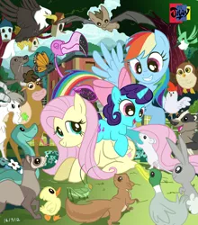 Size: 2480x2814 | Tagged: safe, artist:jowybean, derpibooru import, fluttershy, rainbow dash, oc, badger, bald eagle, bat, bird, butterfly, chicken, cow, duck, eagle, ferret, flamingo, goat, hummingbird, insect, mallard, mouse, owl, pegasus, pony, rabbit, sea lion, seal, snake, squirrel, unicorn, animal, cricket, cricket (insect), duckling, female, foal, high res, image, jpeg, mare, monarch butterfly, sports