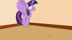 Size: 432x240 | Tagged: safe, artist:forgalorga, derpibooru import, twilight sparkle, twilight sparkle (alicorn), alicorn, beetle, insect, ladybug, pony, animated, behaving like a cat, cute, female, g4, gif, image, jumping, mare, scared, video at source, your little cat, your little pets