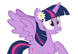 Size: 1280x892 | Tagged: safe, artist:benpictures1, derpibooru import, edit, twilight sparkle, twilight sparkle (alicorn), alicorn, pony, power ponies (episode), cute, female, flower, flower in hair, image, inkscape, mare, png, raised hoof, shocked, simple background, solo, teeth, transparent background, twiabetes, vector