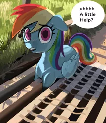 Size: 1931x2245 | Tagged: safe, artist:_ton618_, derpibooru import, rainbow dash, ponified, pegasus, pony, dialogue, female, floppy ears, folded wings, image, jpeg, looking at you, mare, open mouth, ponified animal photo, solo, speech bubble, stuck, sweat, sweatdrop, talking, talking to viewer, teeth, wings