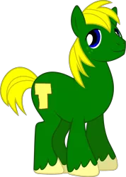 Size: 4530x6370 | Tagged: safe, artist:breadwinnersfan61, derpibooru import, ponified, pony, breadwinners, crossover, image, male, png, simple background, smiling, stallion, swaysway, transparent background