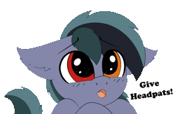 Size: 1280x833 | Tagged: safe, artist:pegamutt, derpibooru import, oc, oc:scrimmy, unofficial characters only, bat pony, pony, animated, bat pony oc, bat wings, begging, commission, cute, dialogue, fangs, gif, heterochromia, image, looking at you, male, ocbetes, simple background, solo, stallion, transparent background, wings, ych result