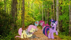 Size: 1365x768 | Tagged: safe, derpibooru import, coco pommel, fluttershy, pinkie pie, twilight sparkle, twilight sparkle (alicorn), alicorn, bird, chipmunk, duck, earth pony, ferret, mouse, pegasus, pony, rabbit, squirrel, animal, image, irl, nature, photo, png, ponies in real life