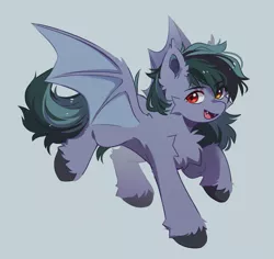 Size: 1295x1225 | Tagged: safe, artist:floweryoutoday, derpibooru import, oc, oc:scrimmy, unofficial characters only, bat pony, pony, bat pony oc, bat wings, fangs, flying, heterochromia, image, looking at you, male, open mouth, png, simple background, solo, spread wings, stallion, unshorn fetlocks, wings