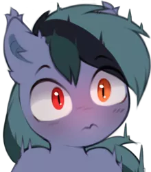 Size: 540x613 | Tagged: safe, artist:astralblues, derpibooru import, oc, oc:scrimmy, unofficial characters only, bat pony, pony, bat pony oc, bat wings, ear fluff, heterochromia, image, male, png, shocked, shocked expression, simple background, solo, stallion, surprised, transparent background, wings