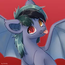 Size: 1000x1000 | Tagged: safe, artist:shelti, derpibooru import, oc, oc:scrimmy, unofficial characters only, bat pony, pony, :p, bat pony oc, bat wings, cute, fangs, heterochromia, image, jpeg, looking at you, male, ocbetes, red background, simple background, solo, spread wings, stallion, tongue out, wings