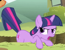 Size: 1280x982 | Tagged: safe, derpibooru import, edit, screencap, applejack, spike, twilight sparkle, earth pony, pony, unicorn, feeling pinkie keen, season 1, angry, animated, butt, butt shake, cropped, cute, female, gif, image, implied pinkie pie, implied pinkie sense, implied twitchy tail, madorable, mare, offscreen character, open mouth, plot, solo, tail, tail shake, talking, trio, twilight sparkle is not amused, twitchy tail, unamused, unicorn twilight