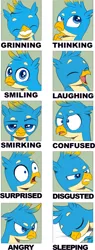 Size: 1026x2696 | Tagged: safe, artist:nauyaco, derpibooru import, gallus, gryphon, angry, expressions, image, laughing, male, png, sleeping, smiling, solo