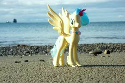 Size: 4608x3072 | Tagged: safe, artist:dingopatagonico, derpibooru import, princess skystar, classical hippogriff, hippogriff, my little pony: the movie, image, irl, jpeg, photo, solo, toy