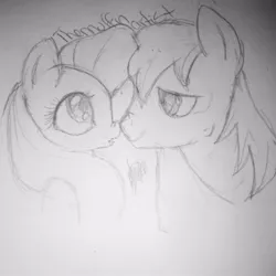 Size: 640x640 | Tagged: safe, artist:themuffinartist, derpibooru import, big macintosh, fluttershy, earth pony, pegasus, pony, boop, bust, female, fluttermac, image, jpeg, looking at each other, looking at someone, male, mare, monochrome, noseboop, pencil drawing, shipping, sketch, stallion, straight, traditional art