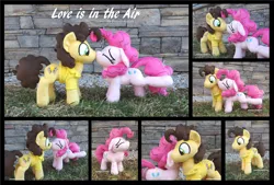 Size: 5460x3690 | Tagged: safe, artist:peruserofpieces, derpibooru import, cheese sandwich, pinkie pie, earth pony, pony, cheesepie, clothes, cute, female, floppy ears, image, irl, kiss on the cheek, kissing, male, mare, photo, plushie, png, shipping, shirt, stallion, standing, straight, surprised