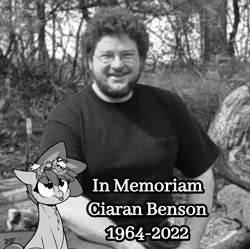 Size: 720x718 | Tagged: safe, ponerpics import, oc, oc:ciaran, ciaran benson, image, in memoriam, monochrome, png