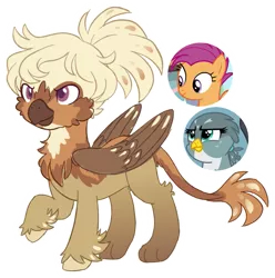 Size: 1133x1142 | Tagged: safe, artist:hopenotfound, derpibooru import, gabby, scootaloo, oc, oc:autumn breeze, gryphon, hippogriff, pony, image, interspecies offspring, magical lesbian spawn, offspring, parent:gabby, parent:scootaloo, parents:gabbyloo, png, simple background, transparent background