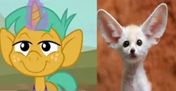 Size: 1920x987 | Tagged: safe, derpibooru import, edit, edited screencap, screencap, snails, fennec fox, fox, pony, buckball season, animal, big ears, coincidence i think not, colt, comparison, foal, front view, glow, glowing horn, horn, image, jpeg, magic, magic aura, male