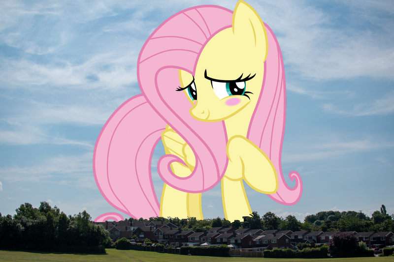 Size: 2048x1365 | Tagged: safe, artist:cloudyglow, artist:thegiantponyfan, derpibooru import, fluttershy, pegasus, pony, blushing, cute, female, giant pegasus, giant pony, giantess, giantshy, highrise ponies, image, irl, jpeg, macro, mare, mega giant, nottingham, photo, ponies in real life, shyabetes, smiling