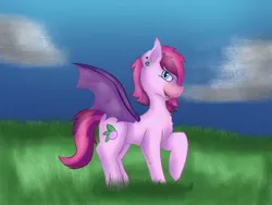 Size: 1280x960 | Tagged: safe, artist:lil_vampirecj, derpibooru import, oc, oc:bree berry, bat pony, pony, ear piercing, earring, image, jewelry, jpeg, piercing, scene, solo, spread wings, tongue out, wings