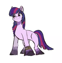 Size: 1679x1701 | Tagged: safe, artist:mayugraffiti, derpibooru import, twilight sparkle, earth pony, pony, bracelet, earth pony twilight, female, g5 concept leaks, image, jewelry, jpeg, mare, race swap, simple background, solo, twilight sparkle (g5 concept leak), white background