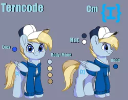 Size: 1280x1008 | Tagged: safe, artist:joaothejohn, derpibooru import, oc, oc:terncode, pegasus, pony, clothes, commission, cute, hat, hoodie, image, jpeg, looking at you, pegasus oc, reference sheet, simple background, wings