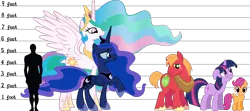 Size: 1282x570 | Tagged: safe, artist:lunicaura106, derpibooru import, big macintosh, princess celestia, princess luna, twilight sparkle, alicorn, earth pony, human, pony, unicorn, crown, female, filly, floppy ears, foal, folded wings, grin, height, height difference, height scale, image, jewelry, male, mare, png, raised hoof, regalia, sextet, simple background, size chart, size comparison, size difference, small wings, smiling, spread wings, stallion, transparent background, unicorn twilight, wings