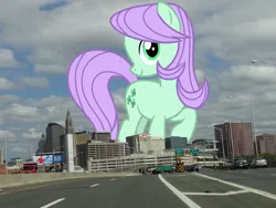 Size: 2592x1944 | Tagged: safe, artist:cheezedoodle96, artist:thegiantponyfan, derpibooru import, edit, lilac swoop, earth pony, pony, connecticut, female, friendship student, giant pony, giant/macro earth pony, giantess, hartford, high res, highrise ponies, image, irl, jpeg, macro, mare, mega giant, photo, ponies in real life, solo