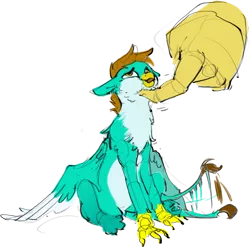 Size: 3351x3317 | Tagged: safe, artist:alumx, derpibooru import, oc, unofficial characters only, gryphon, chest fluff, chin scratch, disembodied hand, griffon oc, hand, image, macro/micro, png, simple background, sitting, tail, tail wag, transparent background