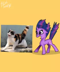 Size: 1714x2048 | Tagged: safe, artist:alicedrawing13, derpibooru import, twilight sparkle, cat, pony, unicorn, female, horn, image, jpeg, mare, open mouth, ponified animal photo, simple background, solo, unicorn twilight, yellow background