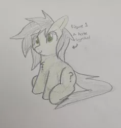 Size: 2844x2997 | Tagged: safe, artist:anonymous, oc, oc:anonfilly, pony, /mlp/, female, hate symbol, image, jpeg, looking at you, traditional art, trotcon