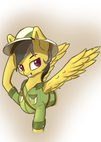 Size: 1771x2508 | Tagged: safe, artist:db, artist:dbcreativearts, derpibooru import, daring do, pegasus, pony, female, hat, image, jpeg, mare, smiling, solo, spread wings, wings