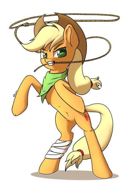Size: 3035x4299 | Tagged: safe, artist:db, artist:dbcreativearts, derpibooru import, applejack, earth pony, pony, hat, image, lasso, png, rope, simple background, solo, transparent background