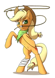 Size: 3035x4299 | Tagged: safe, artist:db, artist:dbcreativearts, derpibooru import, applejack, earth pony, pony, hat, image, lasso, png, rope, simple background, solo, transparent background