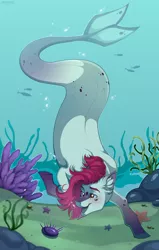 Size: 1800x2823 | Tagged: safe, artist:shchavel, derpibooru import, oc, unofficial characters only, fish, mermaid, merpony, pony, starfish, art, background, bubble, commission, commission open, coral, digital art, ear fluff, ears fluff, female, fish tail, flowing tail, high res, image, mare, ocean, open mouth, open smile, png, red mane, rock, seaweed, smiling, solo, summer, swimming, tail, underwater, water