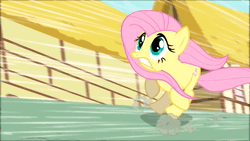 Size: 1920x1080 | Tagged: safe, derpibooru import, screencap, fluttershy, philomena, pegasus, phoenix, pony, a bird in the hoof, animated, ash, burning, death, female, fire, image, incineration, mare, running, scared, sound, webm