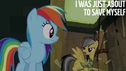 Size: 1920x1080 | Tagged: safe, derpibooru import, edit, edited screencap, editor:quoterific, screencap, daring do, rainbow dash, pegasus, pony, daring don't, season 4, duo, female, image, mare, open mouth, png, spread wings, text, wings