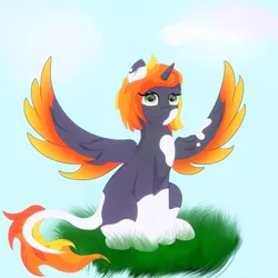 Size: 3000x3000 | Tagged: safe, artist:melody joy, derpibooru import, oc, unofficial characters only, alicorn, pony, female, grass, image, looking at you, png, simple background, sitting, spots, spread wings, wings