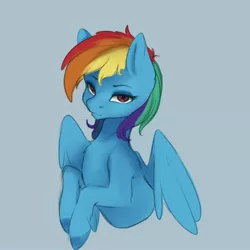 Size: 4000x4000 | Tagged: safe, artist:miokomata, derpibooru import, rainbow dash, pegasus, pony, absurd resolution, blue background, bust, female, image, jpeg, lidded eyes, looking at you, mare, simple background, solo