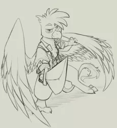 Size: 1750x1900 | Tagged: safe, artist:sinrar, derpibooru import, oc, oc:kalimu, gryphon, clothes, image, male, png, sword, weapon