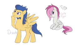Size: 1760x1038 | Tagged: safe, artist:alicemaple, derpibooru import, edit, oc, oc:drizzle (alicemaple), oc:swift flight, unofficial characters only, pegasus, pony, brother and sister, cropped, duo, female, image, male, mare, muttonchops, not flash sentry, offspring, parent:rumble, parent:scootaloo, parents:rumbloo, png, siblings, simple background, sitting, stallion, transparent background